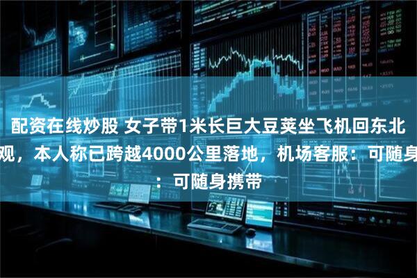 配资在线炒股 女子带1米长巨大豆荚坐飞机回东北引围观,本人称已跨越4000公里落地,机场客服:可随身携带