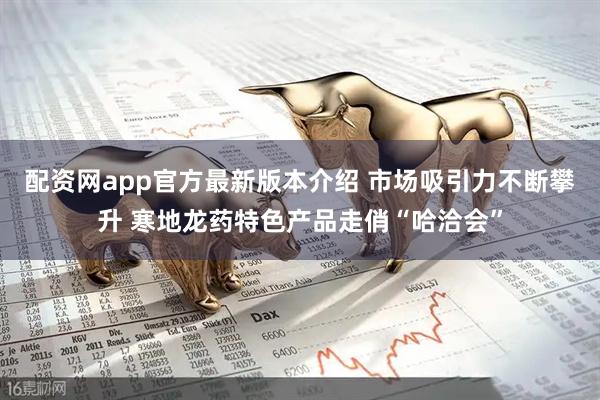 配资网app官方最新版本介绍 市场吸引力不断攀升 寒地龙药特色产品走俏“哈洽会”