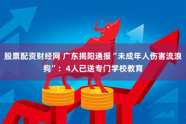 股票配资财经网 广东揭阳通报“未成年人伤害流浪狗”：4人已送专门学校教育